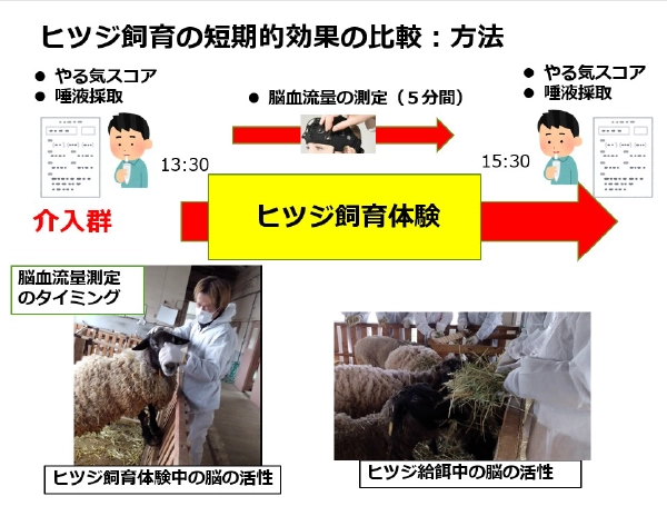 精神障害・知的障害者に対するヒツジ飼育体験の心理的・生理的効果の検証