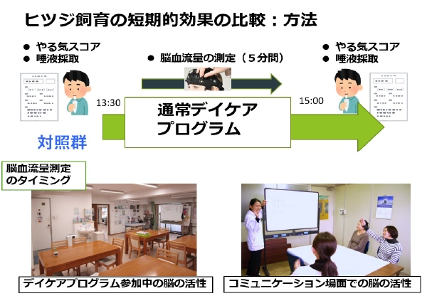 精神障害・知的障害者に対するヒツジ飼育体験の心理的・生理的効果の検証