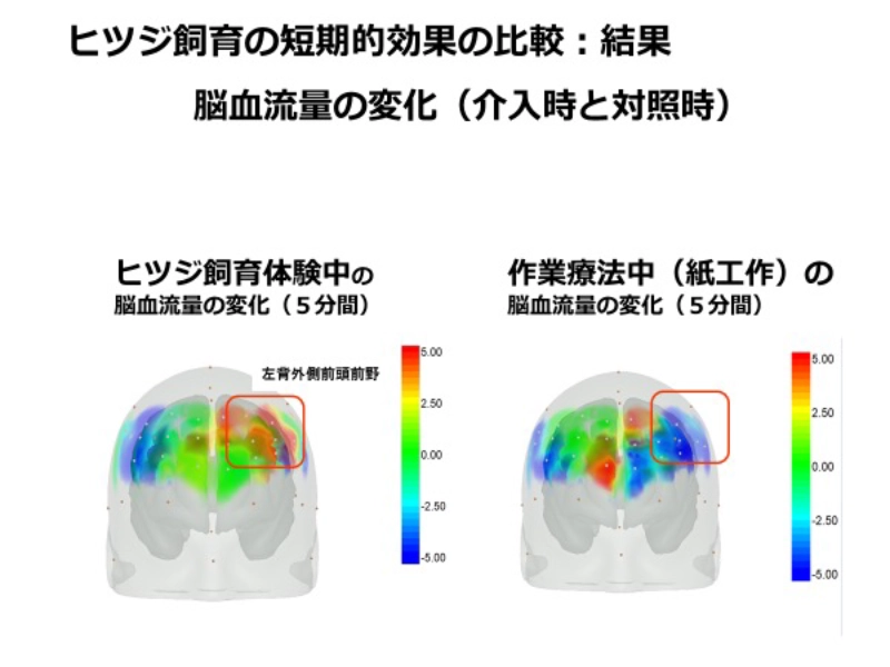 精神障害・知的障害者に対するヒツジ飼育体験の心理的・生理的効果の検証